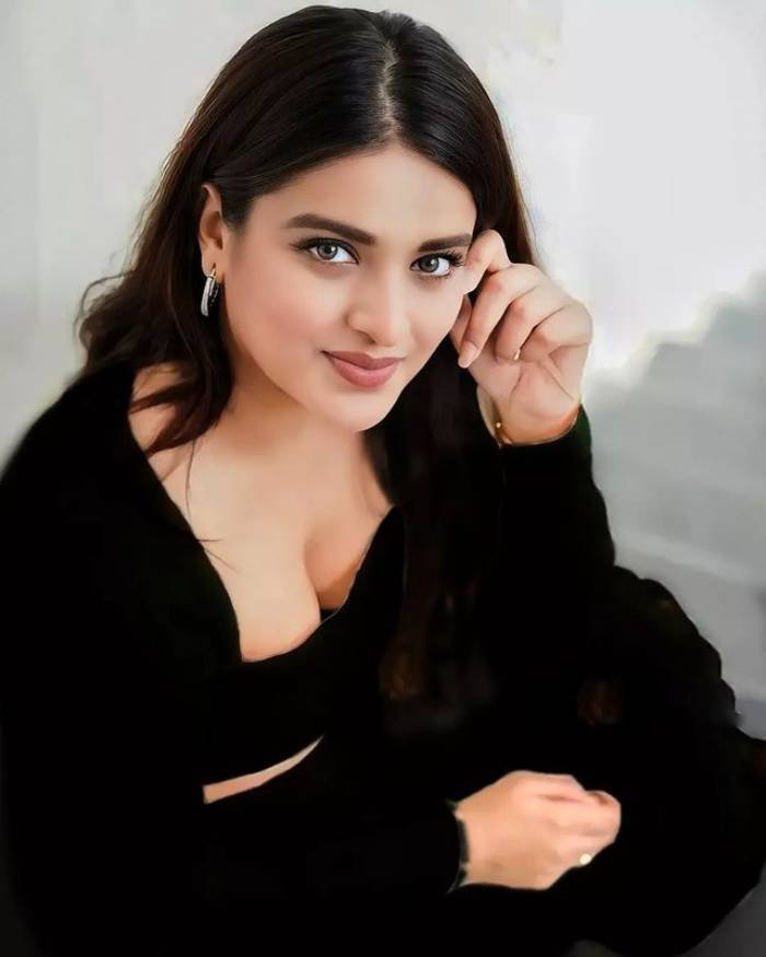 nidhhi agerwal_teluguvox 2